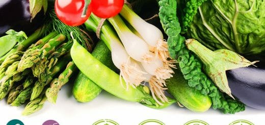 Wissenschaftliche Ernährungskonzepte für Vegetarier, Veganer und Flexitarier