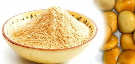 Lupinenprotein - Eiweiß aus Lupinen zur veganen Ernährung