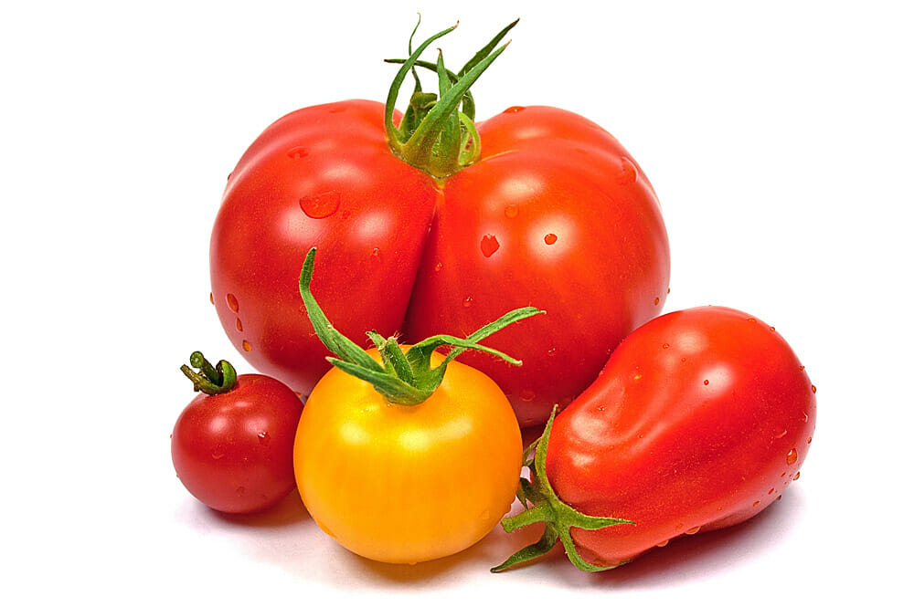 Alles über Paradeiser & Tomaten