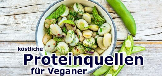Die Vielfalt pflanzlicher Proteine: Nahrungsquellen für Veganer