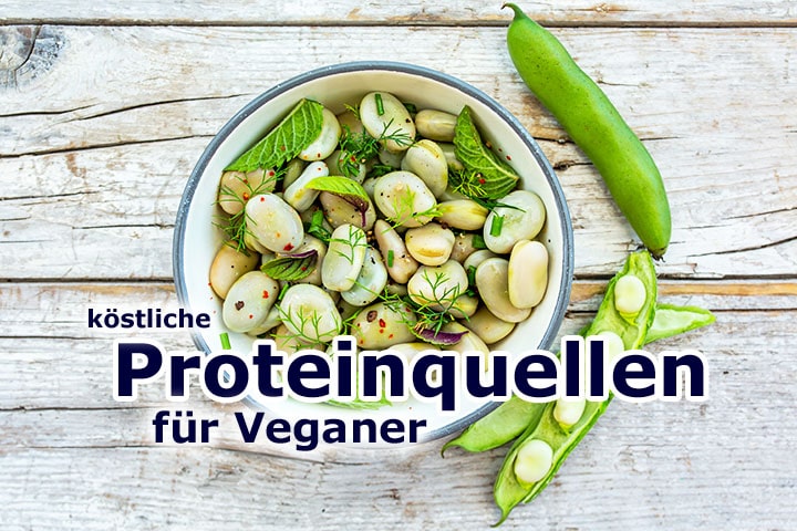 Die Vielfalt pflanzlicher Proteine: Nahrungsquellen für Veganer Pflanzliche Proteinquellen für Veganer